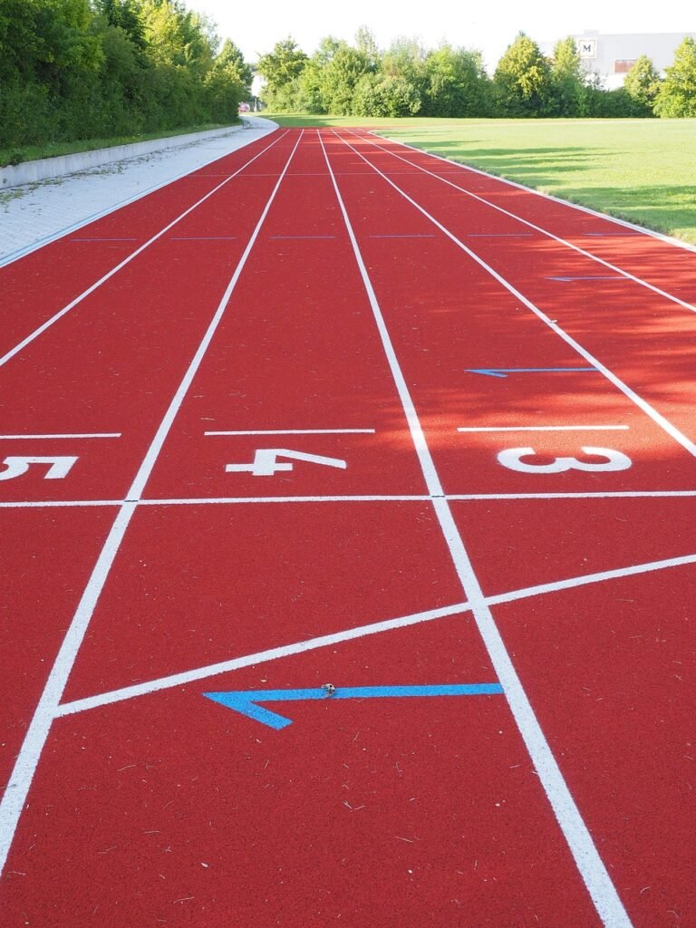 start number, career, starting block, numbers, tartan track, runway, athletics, running, run, sports, sports track, begin, fitness, sports ground, competition, mark, track, racecourse, stadium, tartan, stadium round, round, white, red, leisure time, pay, six, five, four, one, two, three, lines, rubber covering, floor, sports facility, character, coloured, training, symbol, runway, runway, runway, runway, runway, stadium