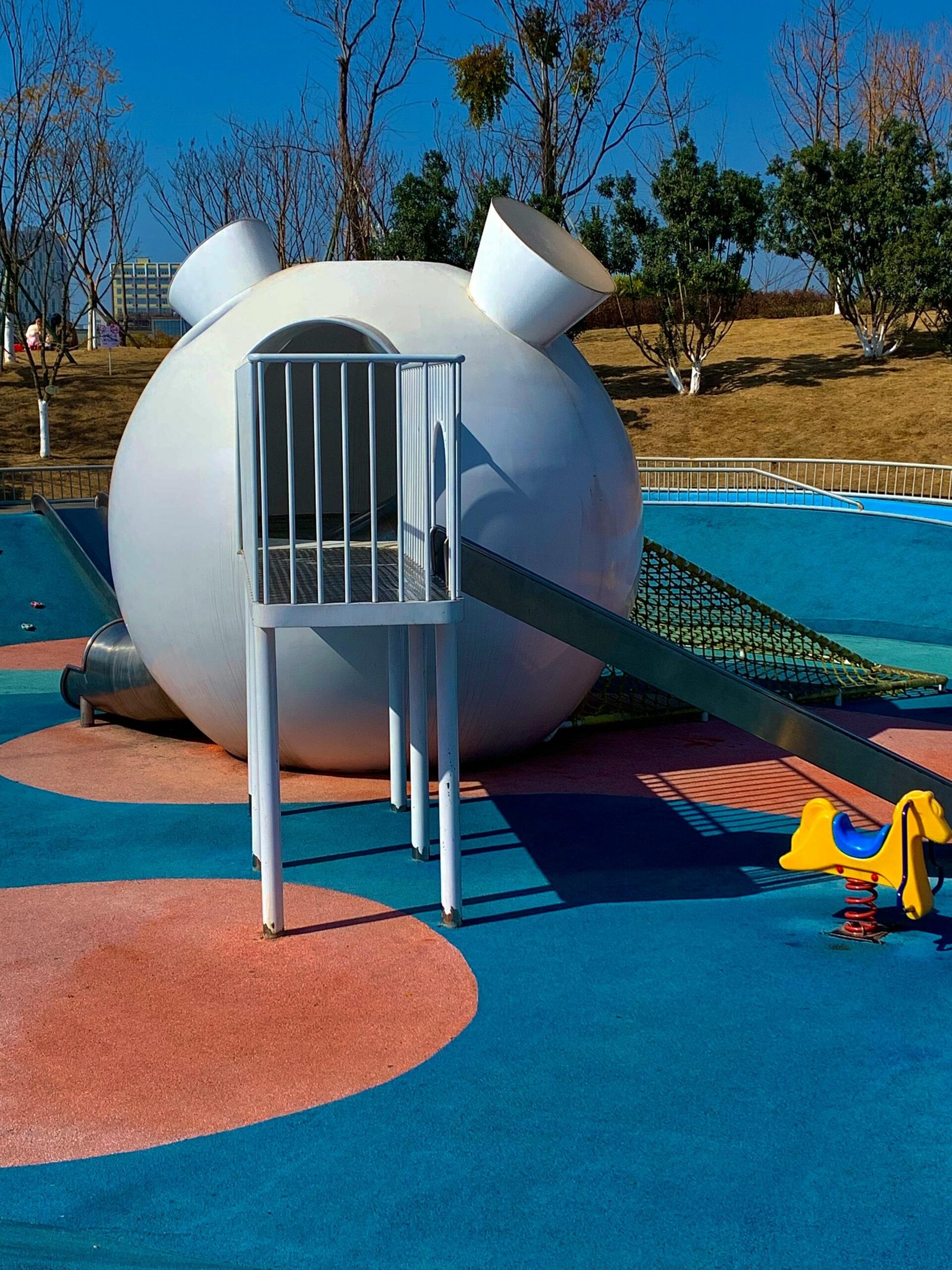 pexels 79784935 20277007